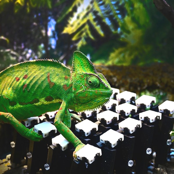 Microwave Chameleon (Science Advances,&nbsp;2025)